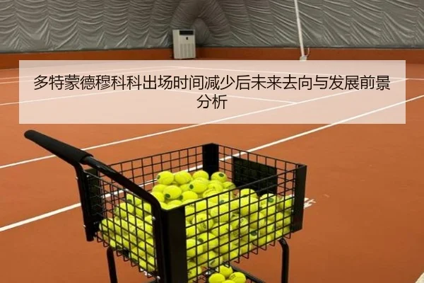 多特蒙德穆科科出场时间减少后未来去向与发展前景分析